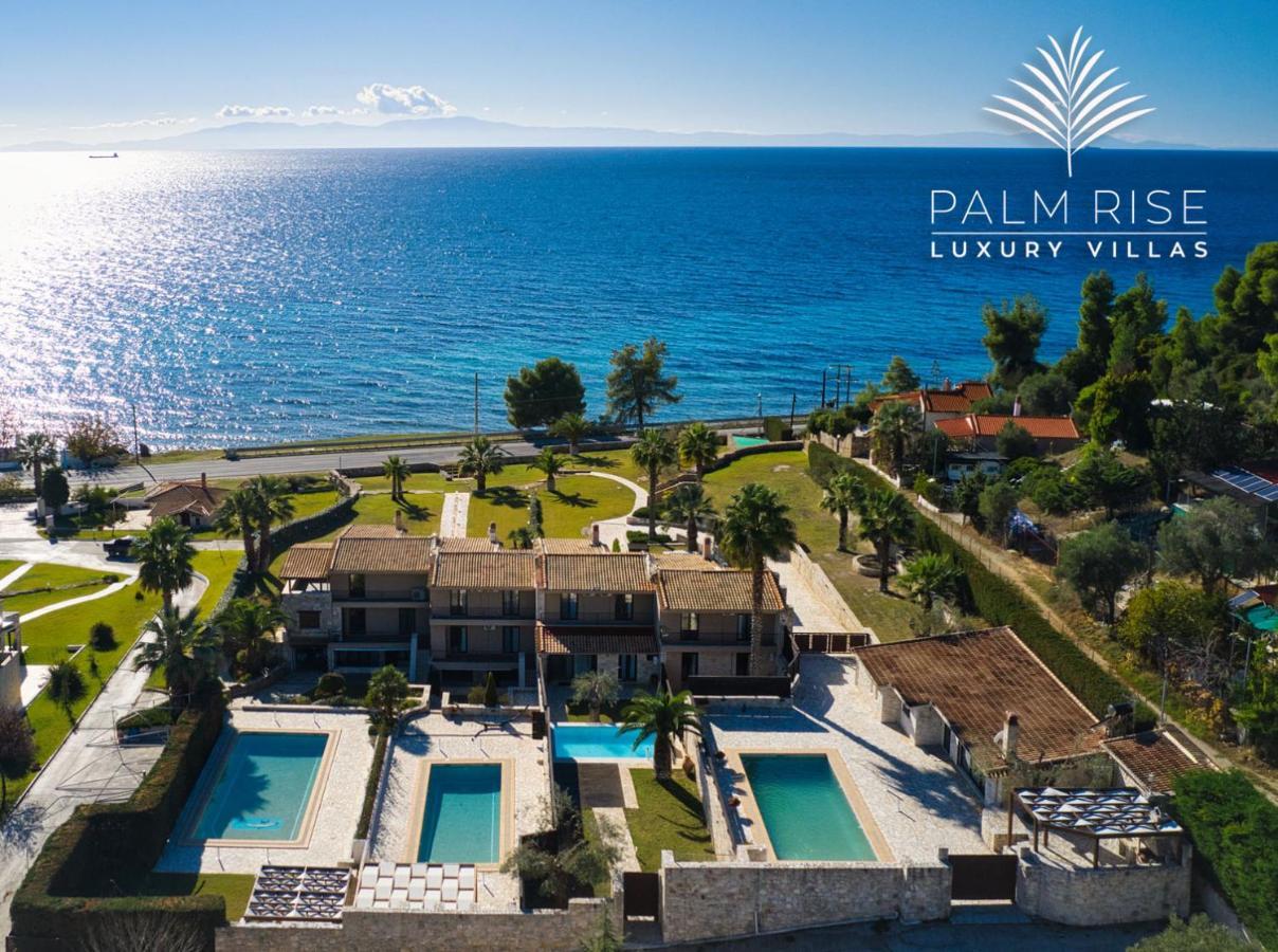 Palmrise Luxury Villas By Travel Pro Services - Nea Skioni Halkidiki Екстер'єр фото